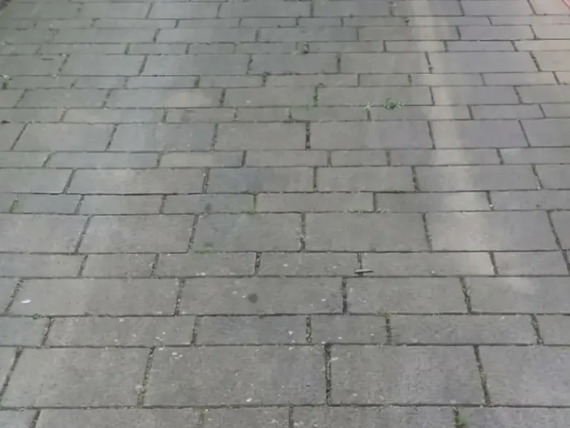 Weg aus großformatigen Betonplatten vor der Reinigung mit grünem Film
